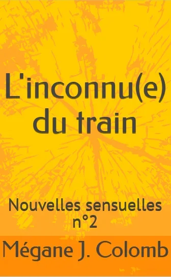 Couverture de &laquo;&nbsp;L'inconnu(e) du train&nbsp;&raquo; par Mégane J. Colomb